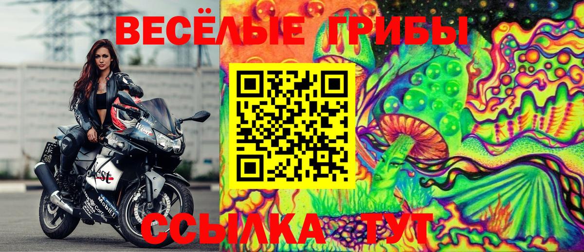 где продают   Вход с VPN  Ржев  Псилоцибиновые грибы прущие грибы 